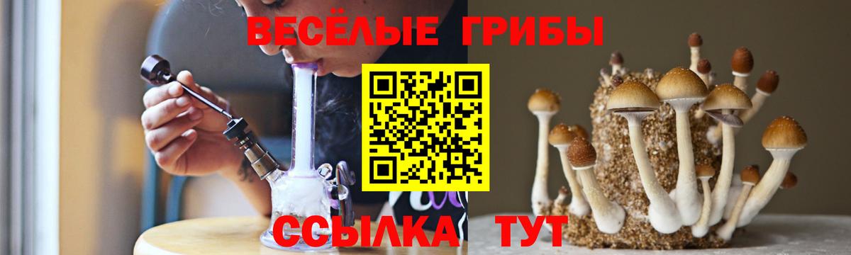 Псилоцибиновые грибы прущие грибы Строитель